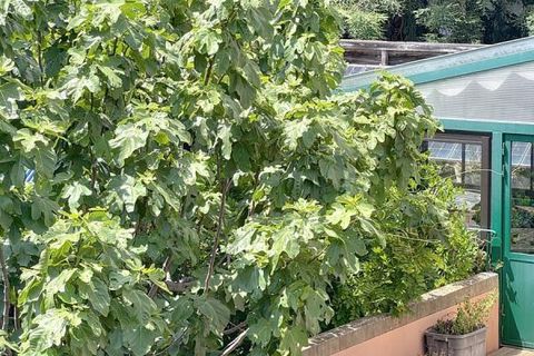 Villa a Avignon, Vaucluse, Avignon - € 429.000 | Ref: YB030 - foto 2