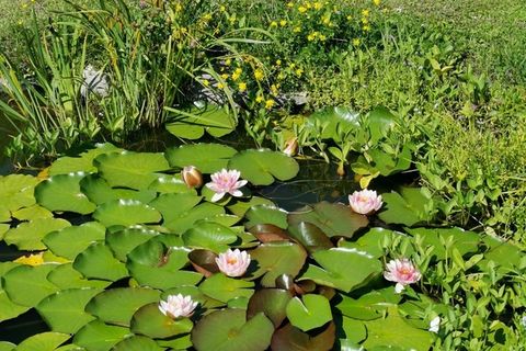 Villa a Albertville, Savoie, Albertville - € 430.000 | Ref: 340939652677 - foto 16