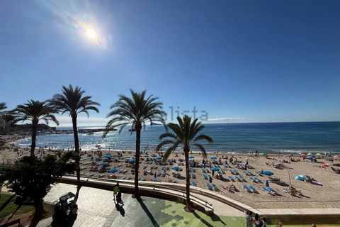 Leilighet i Benidorm, Alicante, Benidorm - € 177 000 | Ref: SG-172/12679 - foto 11