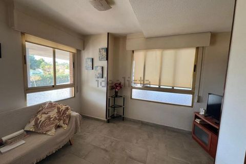 Leilighet i Benidorm, Alicante, Benidorm - € 177 000 | Ref: SG-172/12679 - foto 14