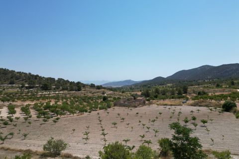 Terra a Monovar, Alicante, Monovar - € 59.950 | Ref: CLDZH-66337 - foto 4