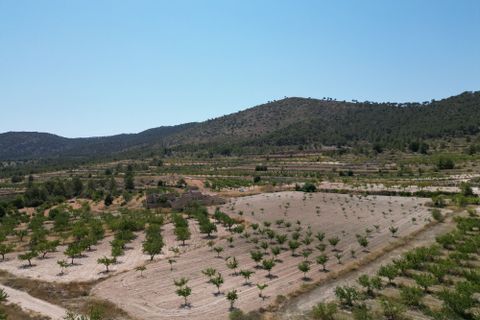 Terra a Monovar, Alicante, Monovar - € 59.950 | Ref: CLDZH-66337 - foto 6