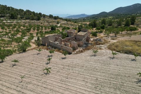 Terra a Monovar, Alicante, Monovar - € 59.950 | Ref: CLDZH-66337 - foto 10