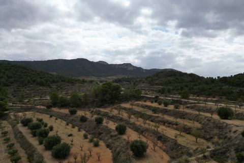 Helårsgrund i La Zarza, Murcia, La Zarza - € 35.000 | Ref: CLDZH-22682 - foto 1