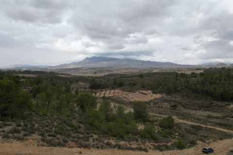 Helårsgrund i La Zarza, Murcia, La Zarza - € 35.000 | Ref: CLDZH-22682 - foto 4