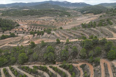 Helårsgrund i La Zarza, Murcia, La Zarza - € 35.000 | Ref: CLDZH-22682 - foto 9