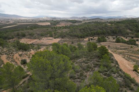 Helårsgrund i La Zarza, Murcia, La Zarza - € 35.000 | Ref: CLDZH-22682 - foto 13