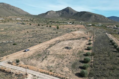 Terra a Barbarroja, Alicante, Barbarroja - € 55.000 | Ref: CLDZH-93479 - foto 2