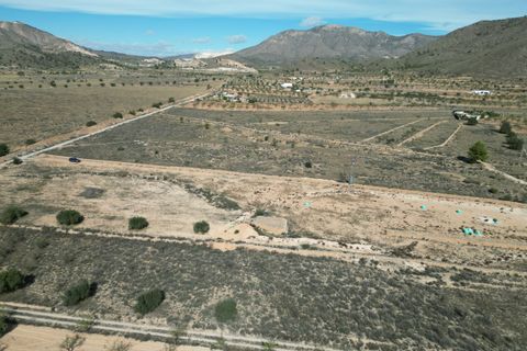 Terra a Barbarroja, Alicante, Barbarroja - € 55.000 | Ref: CLDZH-93479 - foto 4