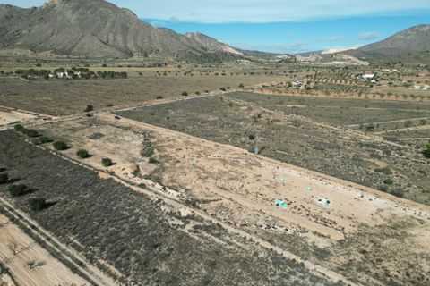 Terra a Barbarroja, Alicante, Barbarroja - € 55.000 | Ref: CLDZH-93479 - foto 6
