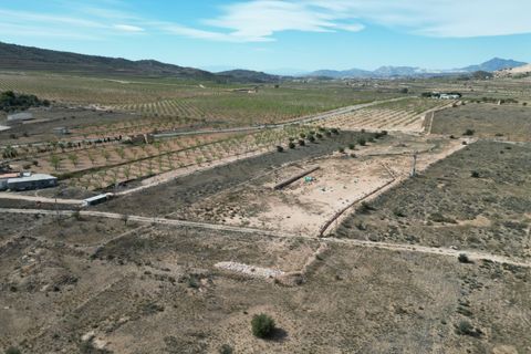 Terra a Barbarroja, Alicante, Barbarroja - € 55.000 | Ref: CLDZH-93479 - foto 9