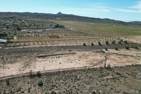Terra a Barbarroja, Alicante, Barbarroja - € 55.000 | Ref: CLDZH-93479 - foto 12