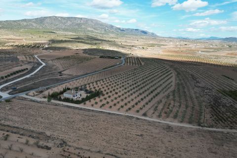 Terra a Lel, Alicante, Lel - € 49.950 | Ref: CLDZH-32242 - foto 2