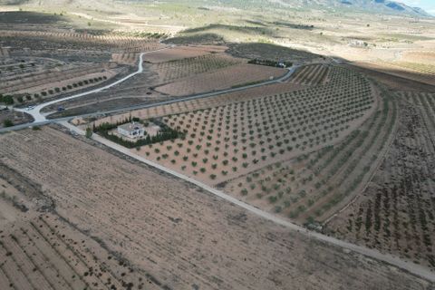Terra a Lel, Alicante, Lel - € 49.950 | Ref: CLDZH-32242 - foto 3
