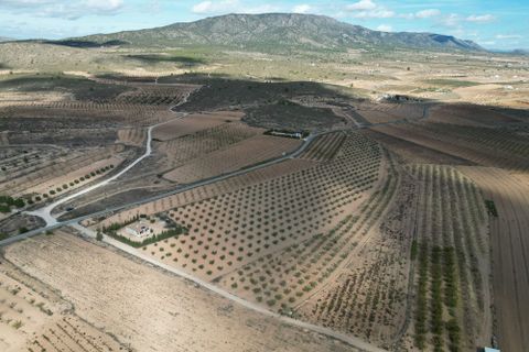 Terra a Lel, Alicante, Lel - € 49.950 | Ref: CLDZH-32242 - foto 5