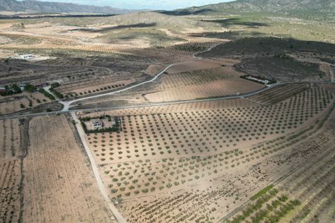 Terra a Lel, Alicante, Lel - € 49.950 | Ref: CLDZH-32242 - foto 6