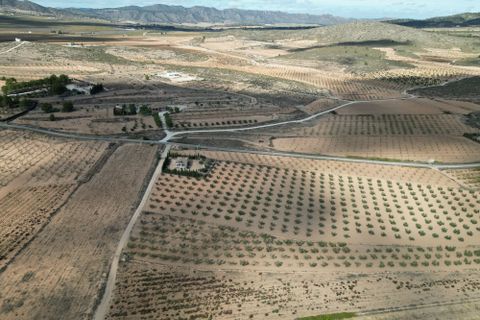 Terra a Lel, Alicante, Lel - € 49.950 | Ref: CLDZH-32242 - foto 7