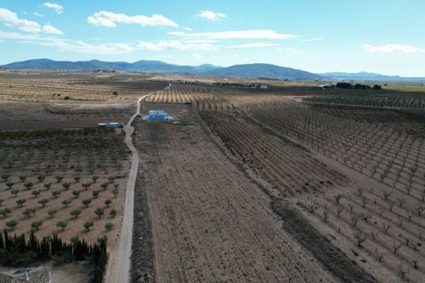 Terra a Lel, Alicante, Lel - € 49.950 | Ref: CLDZH-32242 - foto 13