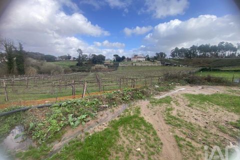 Helårsgrund i Moncao, Viana do Castelo, Moncao - € 135.000 | Ref: 836970 - foto 5