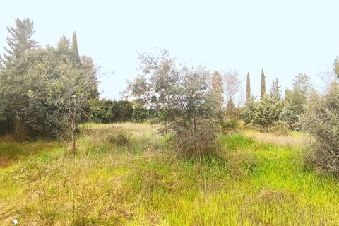 Terra a Granada, Granada, Granada - € 219.000 | Ref: SPCRM4611 - foto 5