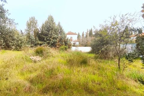 Terra a Granada, Granada, Granada - € 219.000 | Ref: SPCRM4611 - foto 18