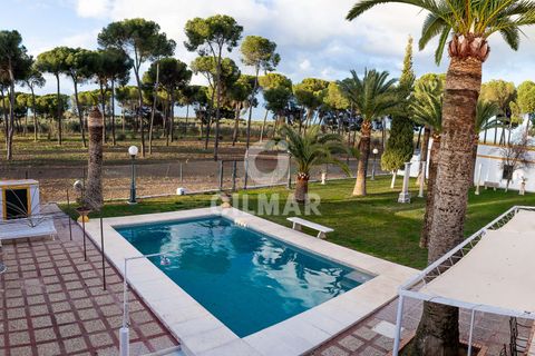 Villa a Marchena, Sevilla, Marchena - € 940.000 | Ref: 211086 - foto 7