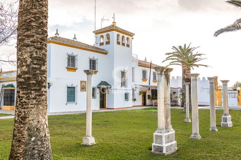 Villa a Marchena, Sevilla, Marchena - € 940.000 | Ref: 211086 - foto 8