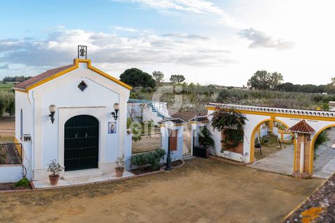 Villa a Marchena, Sevilla, Marchena - € 940.000 | Ref: 211086 - foto 11