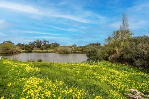 Lejlighed i Sintra, Lisbon, Sintra - € 620.000 | Ref: TAPT01-1706_MM - foto 26