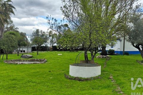 Farm i Estremoz, Evora, Estremoz - € 285.000 | Ref: 835889 - foto 2
