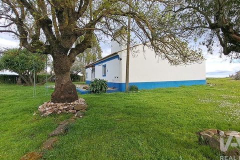 Farm i Estremoz, Evora, Estremoz - € 285.000 | Ref: 835889 - foto 17