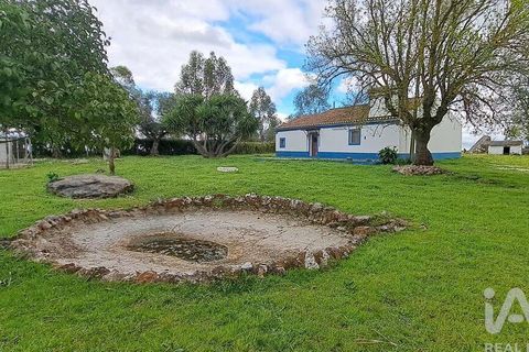 Farm i Estremoz, Evora, Estremoz - € 285.000 | Ref: 835889 - foto 19