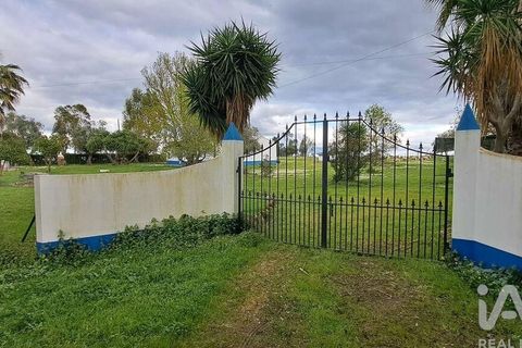 Farm i Estremoz, Evora, Estremoz - € 285.000 | Ref: 835889 - foto 20