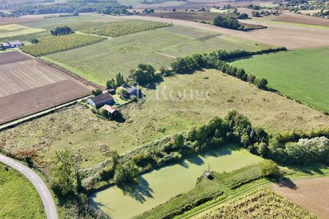 Villa i Duras, Lot-et-Garonne, Duras - € 299 950 | Ref: CCG063 - foto 5