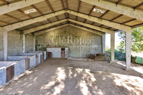 Villa i Duras, Lot-et-Garonne, Duras - € 299 950 | Ref: CCG063 - foto 6