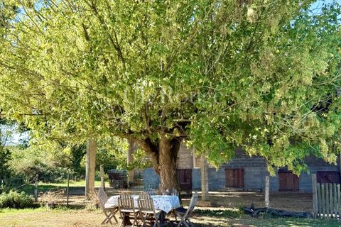 Villa i Duras, Lot-et-Garonne, Duras - € 299 950 | Ref: CCG063 - foto 15