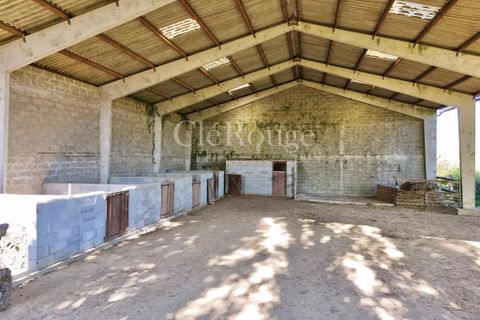 Villa i Duras, Lot-et-Garonne, Duras - € 299 950 | Ref: CCG063 - foto 24
