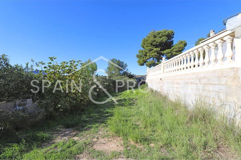 Villa a Turis, Valencia, Turis - € 1.500.000 | Ref: 091439 - foto 8