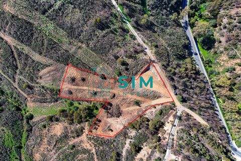 Helårsgrund i Tavira, Faro, Tavira - € 40.000 | Ref: SB207 - foto 13