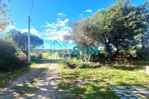 Landejendom i Evora, Evora, Evora - € 650.000 | Ref: CS235 - foto 3