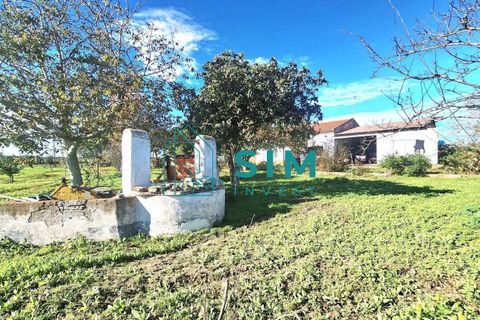 Landejendom i Evora, Evora, Evora - € 650.000 | Ref: CS235 - foto 7