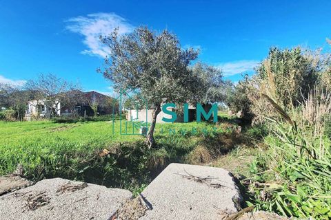 Landejendom i Evora, Evora, Evora - € 650.000 | Ref: CS235 - foto 8