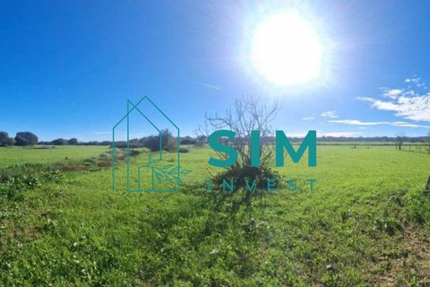 Landejendom i Evora, Evora, Evora - € 650.000 | Ref: CS235 - foto 9