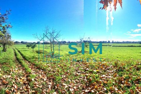 Landejendom i Evora, Evora, Evora - € 650.000 | Ref: CS235 - foto 10