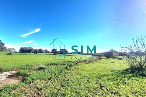 Landejendom i Evora, Evora, Evora - € 650.000 | Ref: CS235 - foto 12