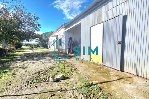 Landejendom i Evora, Evora, Evora - € 650.000 | Ref: CS235 - foto 14