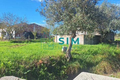 Landejendom i Evora, Evora, Evora - € 650.000 | Ref: CS235 - foto 19