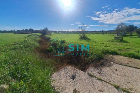 Landejendom i Evora, Evora, Evora - € 650.000 | Ref: CS235 - foto 20