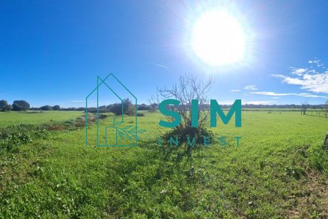 Landejendom i Evora, Evora, Evora - € 650.000 | Ref: CS235 - foto 22