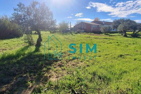 Landejendom i Evora, Evora, Evora - € 650.000 | Ref: CS235 - foto 24